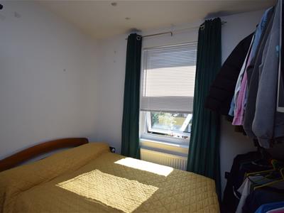 Picture 14